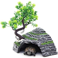 Miniatyrbilde 1 av 5: Reptilhus - Terrarium - Gjemmested - Skilpadderampe - Plattform -