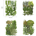 Miniatyrbilde 2 av 5: 4 Pakke Tørkede Pressede Blader Herbarium Plante Kronblad Blader Mix Ekte