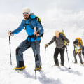Miniatyrbillede 3 af 5: Vandrestave, Retractable Teleskopiske Vandrestave, Sammenklappelige Skridsikre Ultralette Vandrestave til Vandreture Konditionering