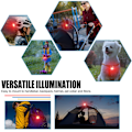 Pikkukuva 3 / 5: 2 kpl LED-polkupyörän valot, polkupyörän etu- ja takavalot, USB