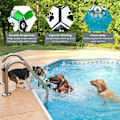 Miniatyrbilde 5 av 5: Interaktiv elastisk ball hundeleke (grønn stropp - diameter 15cm) -