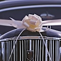 Miniatyrbild 5 av 5: 90 st automatiska rosetter, bandrosetter, breda bandrosetter