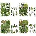 Miniatyrbilde 1 av 5: 4 Pakke Tørkede Pressede Blader Herbarium Plante Kronblad Blader Mix Ekte
