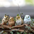 Miniatyrbillede 2 af 5: Miniature Ugle Have Ornament, 4 Stk Ugle Resin Figur Figur
