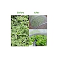 Miniatyrbillede 5 af 5: Have Netting, 6 m x 2,5 m Insektnet, Grøntsagshave Insektnet, Fint Mesh Anti-Insekt Mesh til Beskyttelse af Planter, Blomster, Grøntsager og Frugter