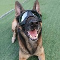 Miniatyrbillede 3 af 4: Solbriller til hunde, UV-beskyttelse, vindafvisende, tilbehør til kæledyrstøj
