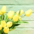 Miniatyrbilde 4 av 5: 20 stk gule kunstige tulipaner i silke 13,5\" for hjemmet