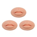 Miniatyrbilde 1 av 5: 3 stk. Simulering 5d Tredimensjonale Silikonlepper Tattoo Lip Tra