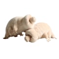 Pikkukuva 5 / 5: Söpö tardigrade-pehmolelu Simulaatio pehmolelut Syvänmeren C
