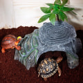 Miniatyrbillede 2 af 5: Skildpaddehelligdom Terrarium Land Cave Reptil Rampe Platform Sanct