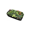 Miniatyrbillede 1 af 4: Rektangulær åndbar stof hævet seng Planter - Holdbar plante