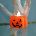 Miniatyrbillede 5 af 5: 12 stk. Halloween græskarlys spøgelsesfestival dekoration pr