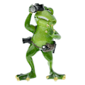 Miniatyrbillede 1 af 5: Kreativ havedekoration dyrefotograf frø Res