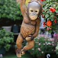 Miniatyrbild 5 av 5: 2 st Resin Monkey Climbing Hanging Resin Monkey Statue Garde