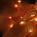 Miniatyrbillede 4 af 7: Strudsefjer Bordlampe Smedejerns Natlampe LED Kobber W