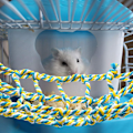 Miniatyrbillede 4 af 5: 2 stk. Fuglenet Hamster Rotte Reb Netting Smådyr Reb N