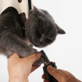 Miniatyrbillede 2 af 5: Hængekøje til kæledyr, hængekøje til hund, hængekøje til kat, Amazon