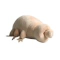 Pikkukuva 4 / 5: Söpö tardigrade-pehmolelu Simulaatio pehmolelut Syvänmeren C