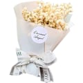 Pikkukuva 2 / 5: Kuivattu Gypsophila-kukka Automaatti Diffuuseri Klipsi, Gypsophila
