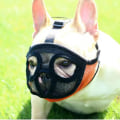 Miniatyrbillede 1 af 5: Kort snude hundemaske, Fransk bulldog åndbar mesh flad ma