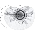 Miniatyrbilde 4 av 4: Dame Bryllupsslør Frisyre Bryllupshatt Bryllupsfascinator Ons