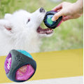 Miniatyrbillede 1 af 5: Bidresistent hundebid legetøj elastisk lysende bold kæledyr legetøj
