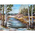 Pikkukuva 1 / 5: 30x40cm, puro scenery 5d timanttimaalattu strassi-kirjonta c