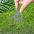 Drottningfångare i plast, 5 st