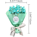 Pikkukuva 5 / 5: Kuivattu Gypsophila-kukka Automaatti Diffuuseri Klipsi, Gypsophila