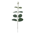 Miniatyrbillede 4 af 5: 30 stk. imiteret enkelt stykke penge blad eukalyptus