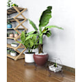 Miniatyrbilde 5 av 5: Blomsterpottestativ, sett med 3 runde metallstativ for planter, 9 tommer rust