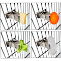 Miniatyrbillede 5 af 5: Fugle Foderholder Papegøje Fuglebur Clips Fugle Frugt Foder