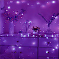 Miniatyrbild 5 av 5: 6-pack, 20 LED Flaskor Ljus Fairy String LED Ljus (lila)