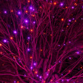 Miniatyrbild 5 av 5: Ljusstrimma med 200 LED-lampor, 20 meter lång, för julbelysning Purple and Orange 400 LED