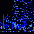 Miniatyrbild 4 av 5: Ljusslingor för utomhusbruk, 1000 LED 100 meter, Plug-in-modell Blue 1000 LED