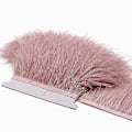 Miniatyrbild 2 av 4: 2m Strutsfjädrar Trim Plumes Band Kant 43