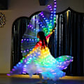 Miniatyrbild 3 av 4: Justerbar Stav 57\" Lång Led Isis Vingar Magdans Klädsel Performance Kostymer Vuxen Med Stav Multicolor