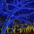 Miniatyrbild 5 av 5: Ljusslingor för utomhusbruk, 1000 LED 100 meter, Plug-in-modell Blue 1000 LED