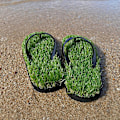 Miniatyrbild 3 av 5: Newway Gff Gräs Flip-Flop black 36