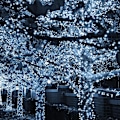 Miniatyrbild 4 av 5: Ljusslingor för utomhusbruk, 1000 LED 100 meter, Plug-in-modell White 500 LED