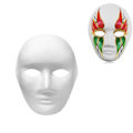 Miniatyrbild 1 av 8: Kattmask Vit Kattmask Tom DIY Halloween Mask Djur Halvmask Maskeradboll D