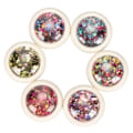 Miniatyrbild 3 av 3: 6 Ask Nagelkonst Glitter Sekvenser Färgglada Runda Nagelglitter Sekvenser för DIY Nagelkonst Dekoration
