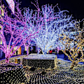 Miniatyrbild 4 av 7: Julfestival Ins Dekorativa Ljus Led Snowflake Belysningskedja Romantisk Batterilåda Warm White 1.5 M 10led (Battery)