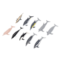 Miniatyrbild 6 av 7: 10 st Delfinmodellleksaker Barnleksak Simuleringshavsdjurfigurer Statisk Prydnad