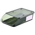 Miniatyrbild 1 av 5: Äggförvaringslåda Plast Automatisk Rullande Transparent Förtjockad Spårad Äggförvaringsbehållare för Kylskåp Kök, Grön