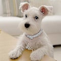 Miniatyrbild 2 av 5: Halsband för husdjur B, 3 rader strasshalsband Pink M