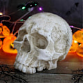 Miniatyrbillede 3 af 5: Kranie dekoration kranie, Day of the Dead menneskekranie harpiks model kunst