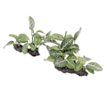 Miniatyrbillede 2 af 5: 2 stk. Akvarieplanter Dekorationer Høj Simulation Akvarium Kunstige Landskabsplanter til Akvarier