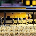 Miniatyrbillede 4 af 4: 1 Æske Statisk Græstot Model Miniature Jernbane Kunstig Græstot Miniature Gaming Terræn