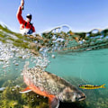 Pikkukuva 5 / 5: Vaappu Crankbait, Kaikki vesikerrokset, Kelluva/Pitkäheittoinen